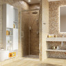Душевая дверь в нишу WASSERKRAFT SALM 27I27 80 см